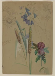 Étude de fleurs, 1860